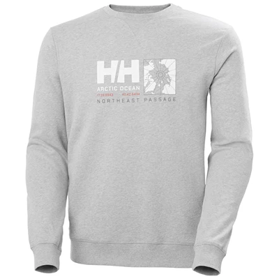 Helly Hansen Arctic Ocean Sweat Sweatshirts Herre Grå | 98467UBCA